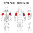 Bicep Tricep Curl