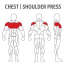 Chest Shoulder Press