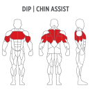 Dip Chin Assist