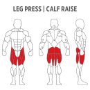 Leg Press Calf Ext