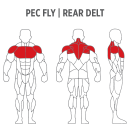 Pec Fly Rear Delt