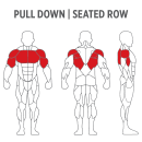 Pull Down Seated Row